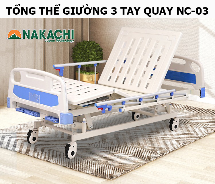 tổng thể giường 
